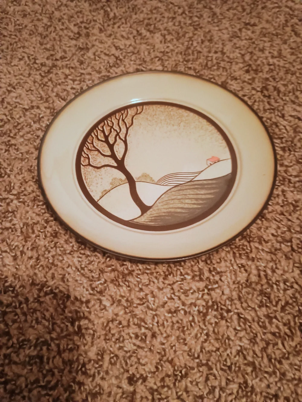 Danby Savoy Dishes Complete Set Will Never Been Used